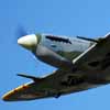 Spitfire